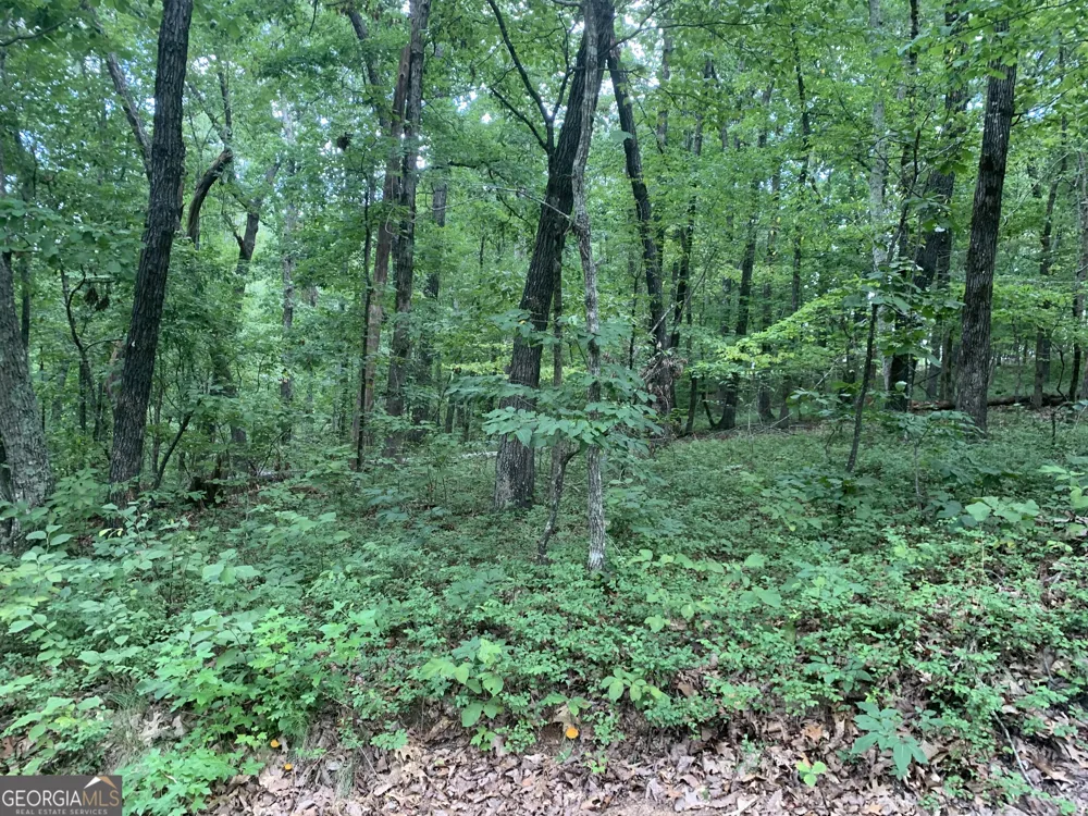 0 Grant Smith, Summit Ridge, Etc. Toccoa, GA 30577