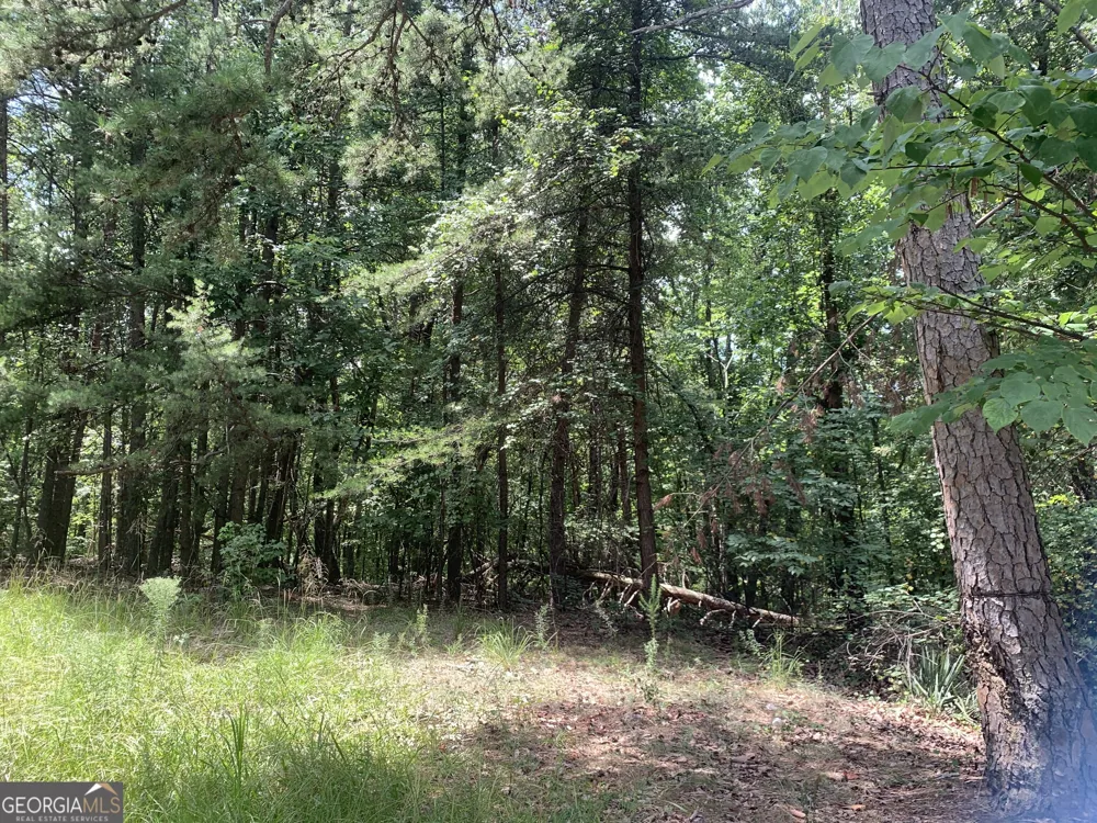 0 Grant Smith, Summit Ridge, Etc. Toccoa, GA 30577
