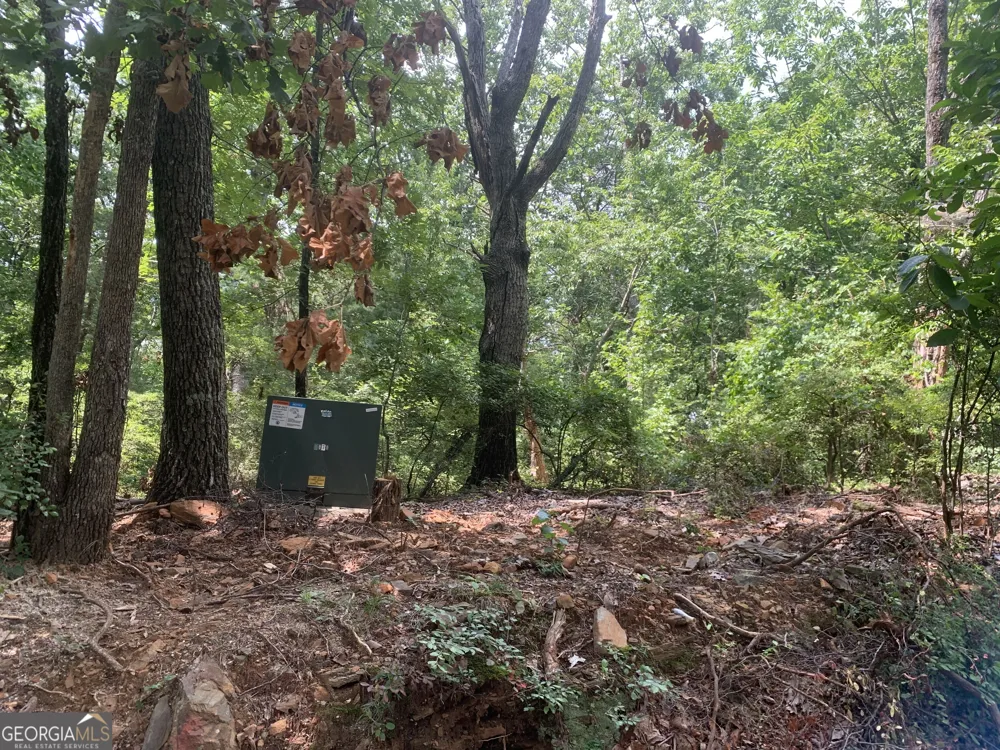 0 Grant Smith, Summit Ridge, Etc. Toccoa, GA 30577