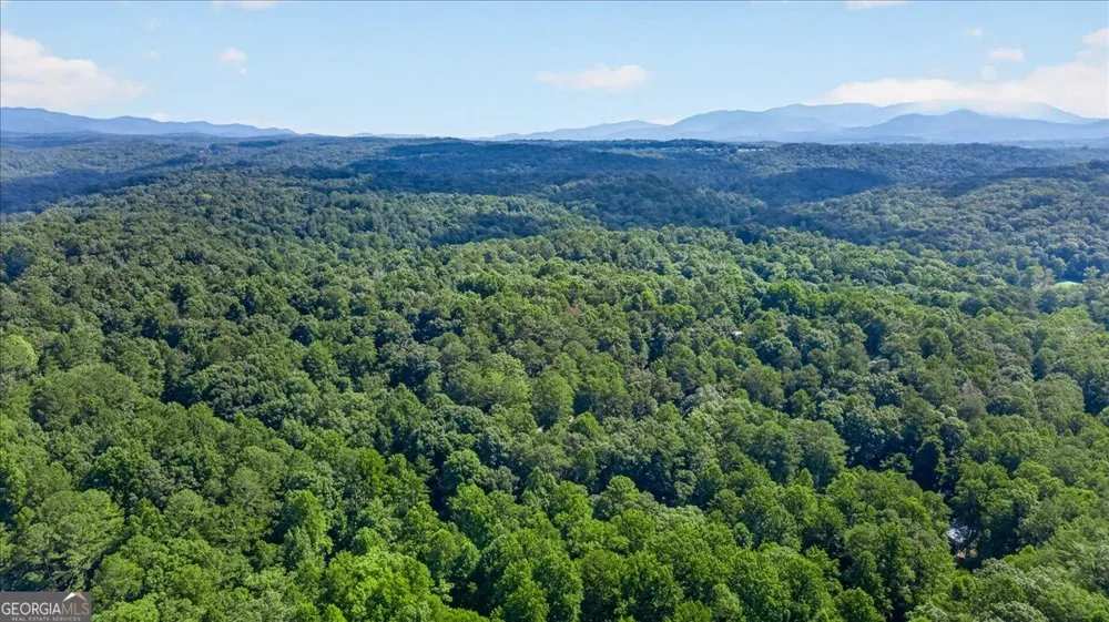 190 26th ST Ellijay, GA 30540