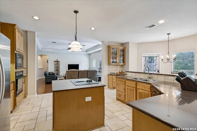780 INDIGO RUN DR Bulverde, TX 78163