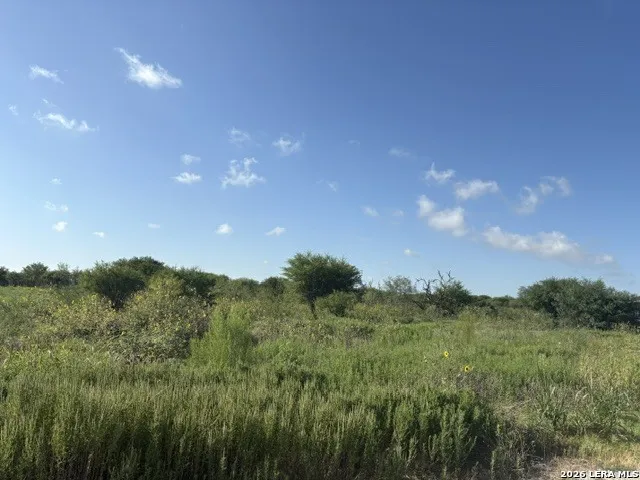 129 Persimmon Trail Marion, TX 78124