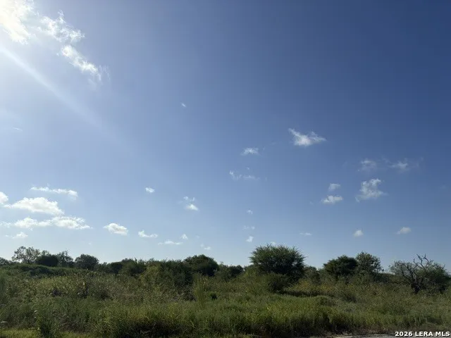 129 Persimmon Trail Marion, TX 78124