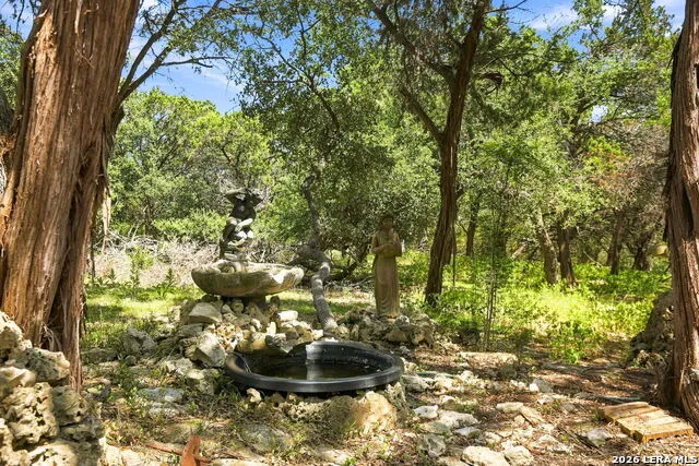 31422 HIGH RIDGE DR Bulverde, TX 78163