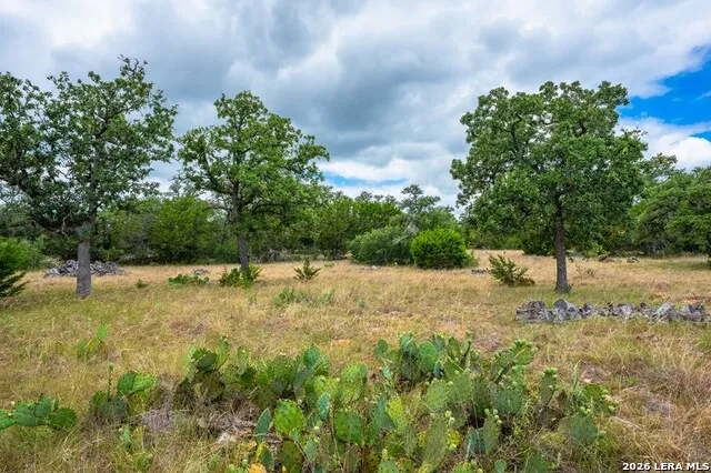 118 RE RANCH RD Kerrville, TX 78028
