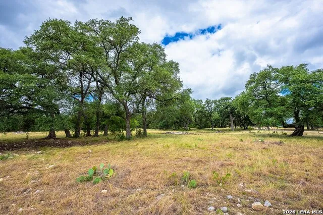 118 RE RANCH RD Kerrville, TX 78028