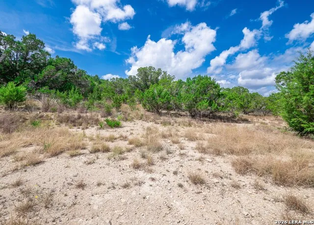 646 Appaloosa Dr Fischer, TX 78623