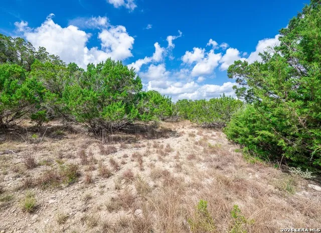 646 Appaloosa Dr Fischer, TX 78623