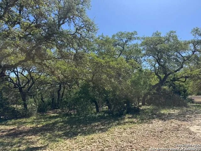 2485 Bump Gate Pipe Creek, TX 78063