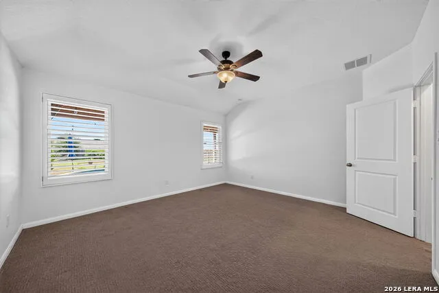 1921 Grey Wagtail New Braunfels, TX 78130