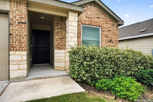 1921 Grey Wagtail New Braunfels, TX 78130