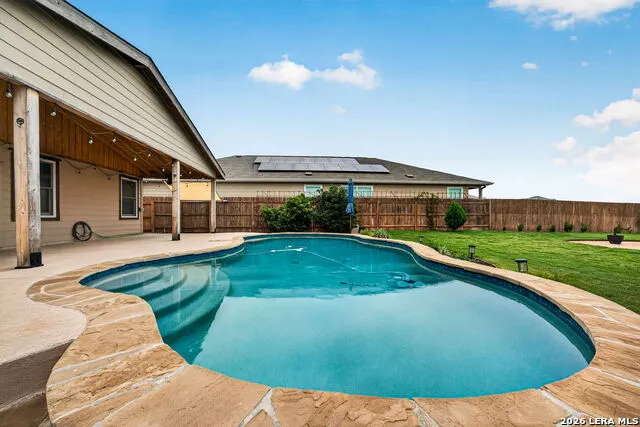 1921 Grey Wagtail New Braunfels, TX 78130