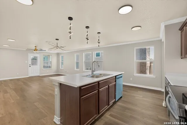 11209 Plaudit San Antonio, TX 78245