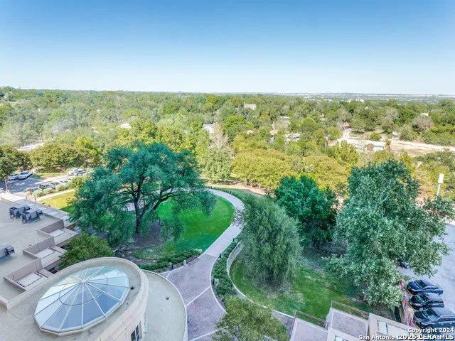 1 TOWERS PARK LN #1513 San Antonio, TX 78209