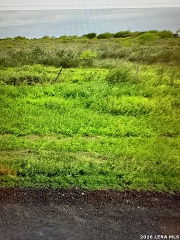 1849/1909 Strawberry City Poteet, TX 78065