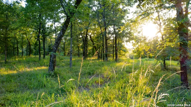 0 Private Road 5150 Palestine, TX 75801