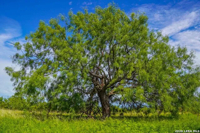 TBD FM 1929 Paint Rock, TX 76875