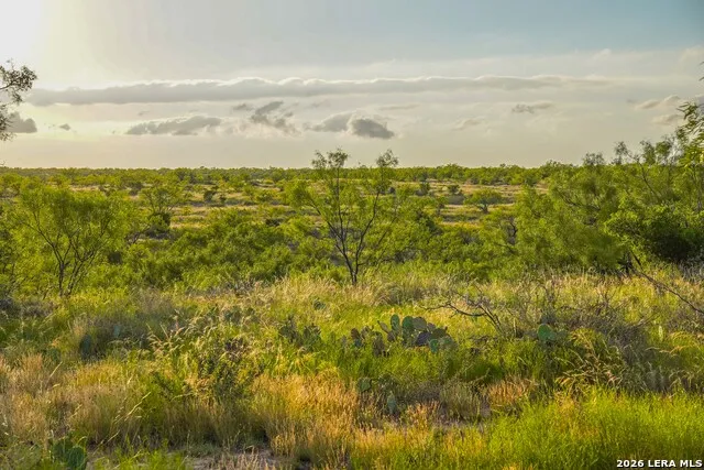 TBD FM 1929 Paint Rock, TX 76875