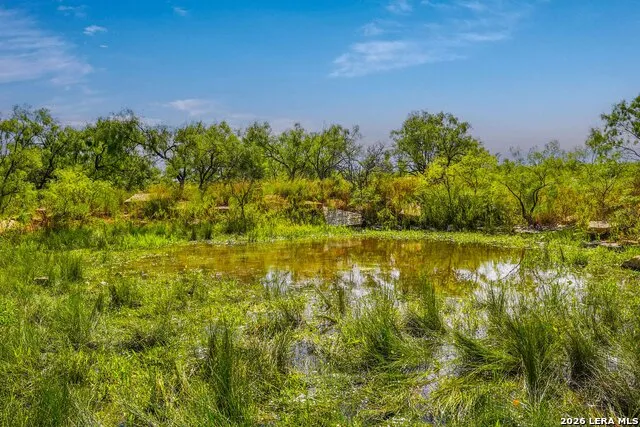 TBD FM 1929 Paint Rock, TX 76875