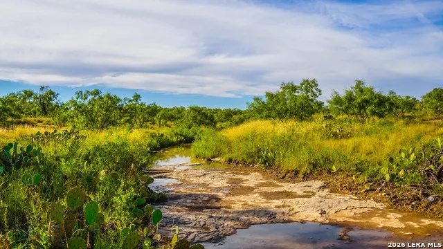 TBD FM 1929 Paint Rock, TX 76875