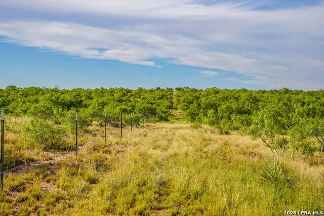 TBD FM 1929 Paint Rock, TX 76875