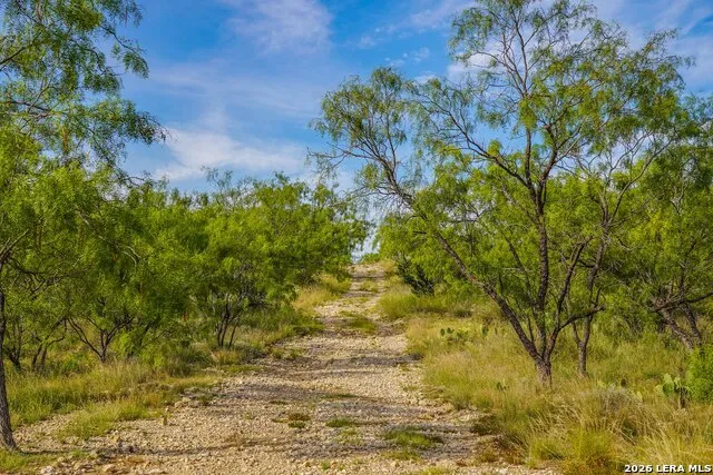 TBD FM 1929 Paint Rock, TX 76875
