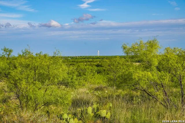 TBD FM 1929 Paint Rock, TX 76875
