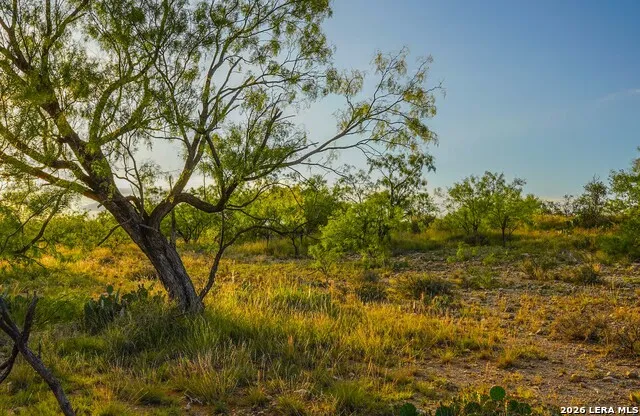 TBD FM 1929 Paint Rock, TX 76875