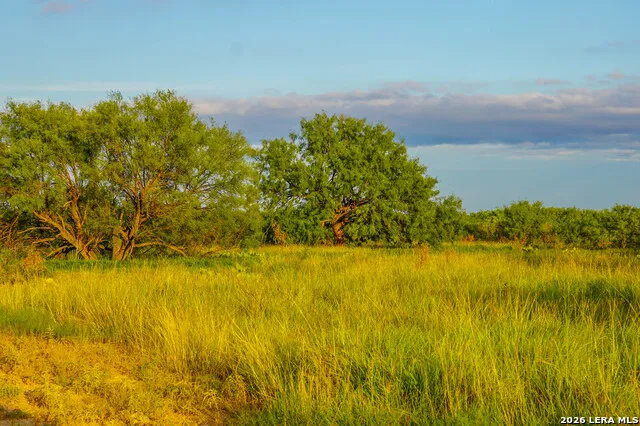 TBD FM 1929 Paint Rock, TX 76875