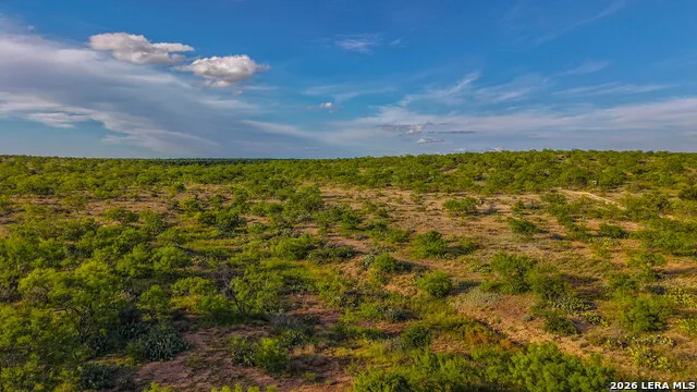TBD FM 1929 Paint Rock, TX 76875