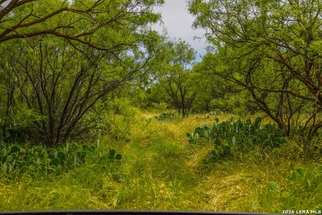 TBD FM 1929 Paint Rock, TX 76875