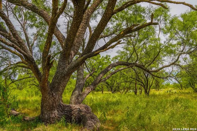 TBD FM 1929 Paint Rock, TX 76875