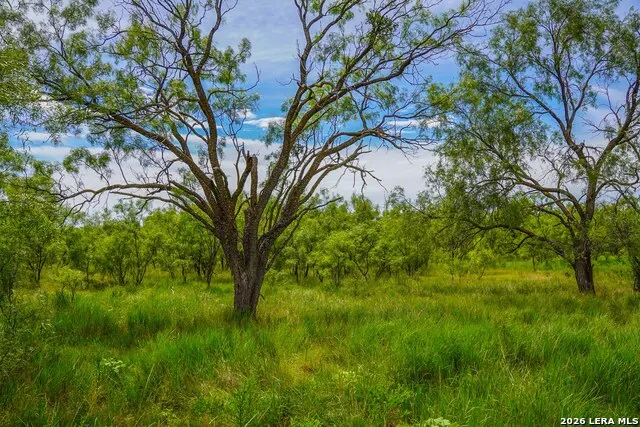 TBD FM 1929 Paint Rock, TX 76875