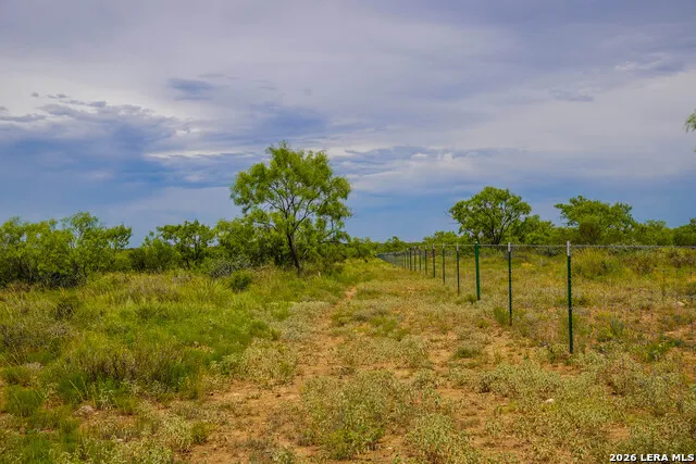 TBD FM 1929 Paint Rock, TX 76875