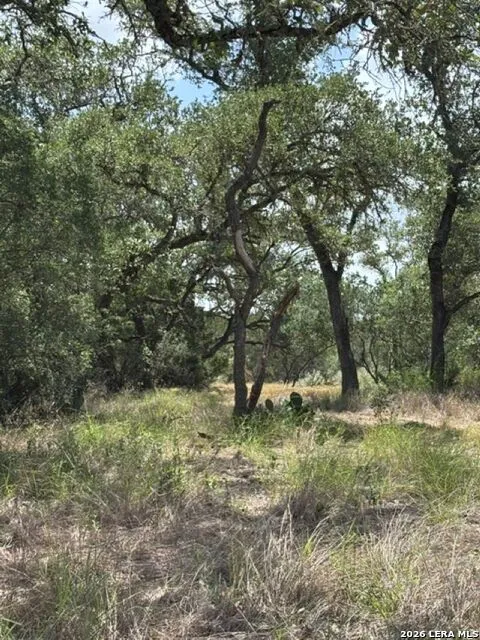 LOT 37 Pr 2532 Mico, TX 78056