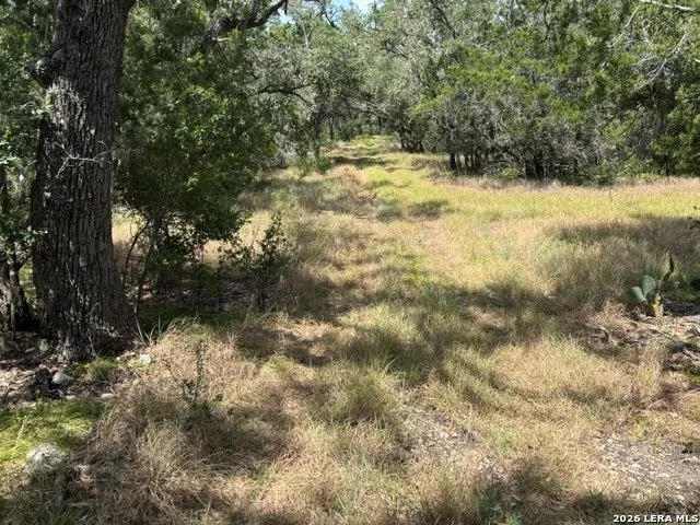 LOT 37 Pr 2532 Mico, TX 78056