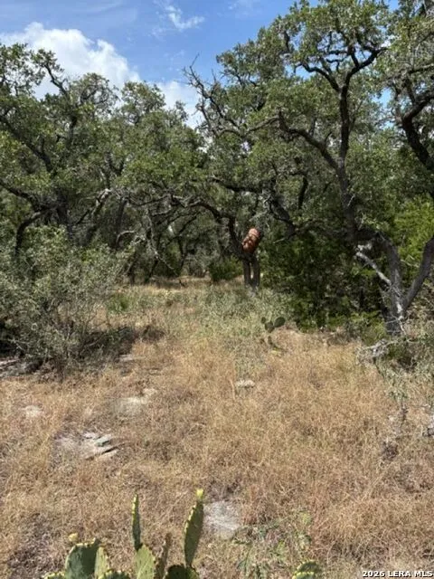 LOT 37 Pr 2532 Mico, TX 78056