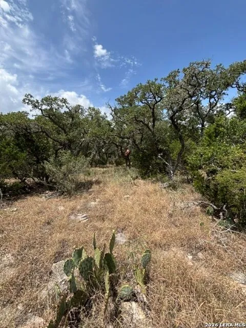 LOT 37 Pr 2532 Mico, TX 78056