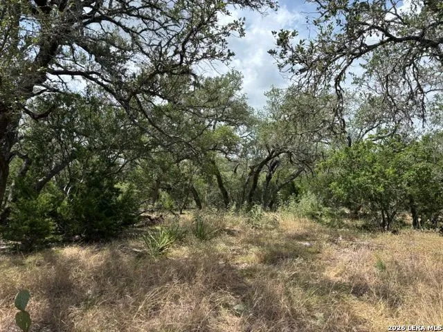LOT 37 Pr 2532 Mico, TX 78056