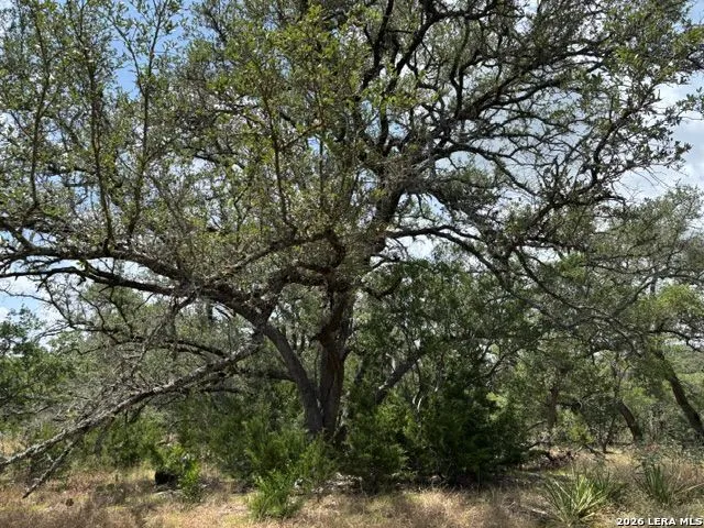 LOT 37 Pr 2532 Mico, TX 78056