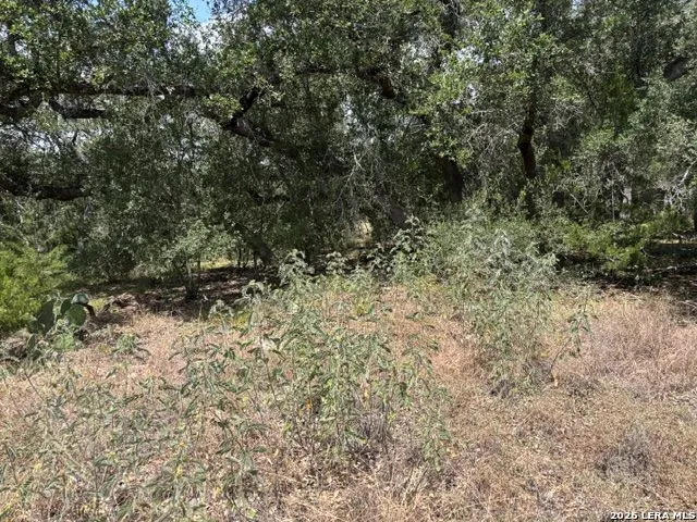 LOT 37 Pr 2532 Mico, TX 78056