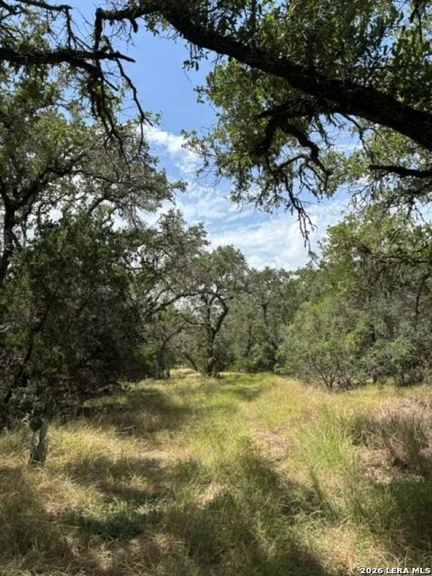 LOT 37 Pr 2532 Mico, TX 78056