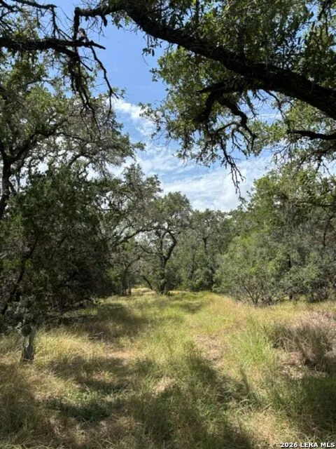 LOT 37 Pr 2532 Mico, TX 78056