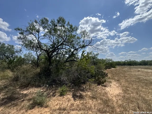 000 14th Street Christine, TX 78012