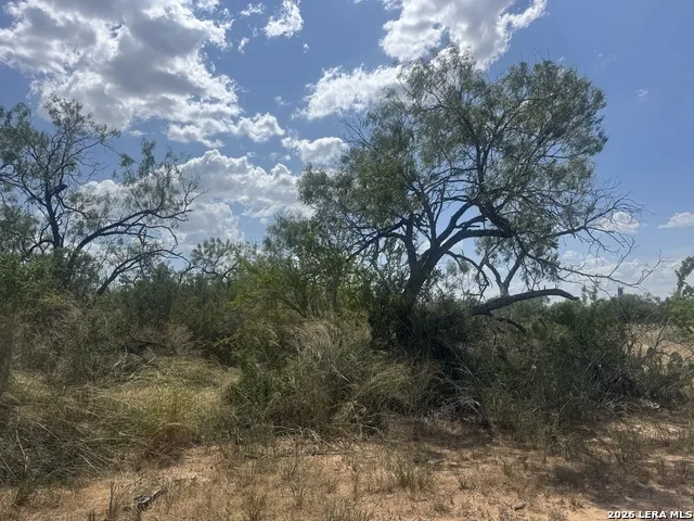 000 14th Street Christine, TX 78012