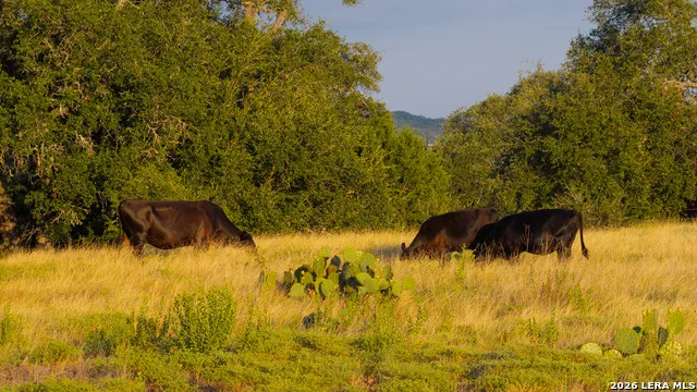 292 ACRES Robinson Road Johnson City, TX 78636