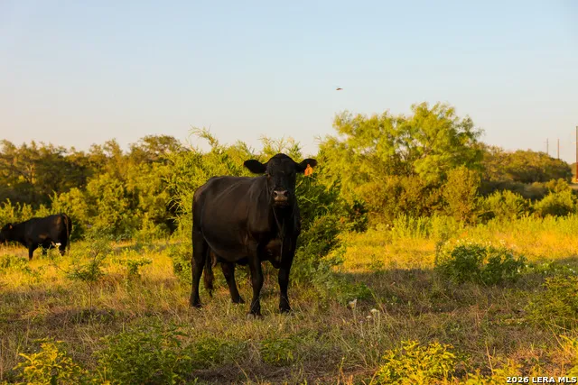 292 ACRES Robinson Road Johnson City, TX 78636