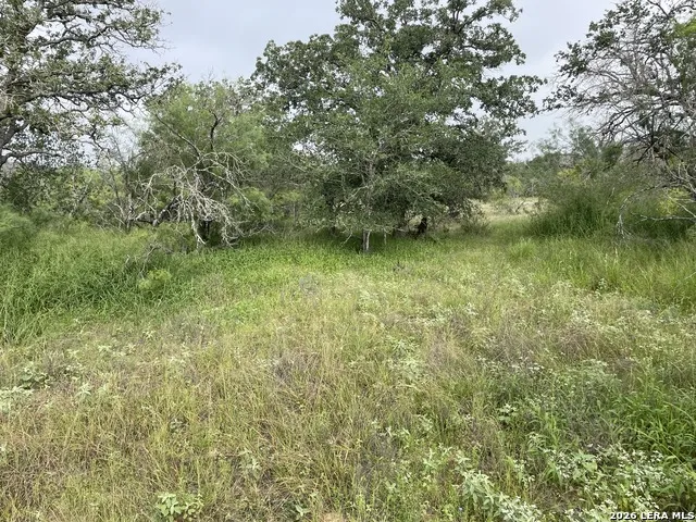 TRACT#8 12.31A County Road 777 Devine, TX 78016