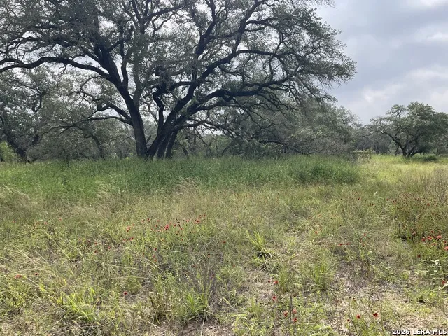 TRACT#8 12.31A County Road 777 Devine, TX 78016