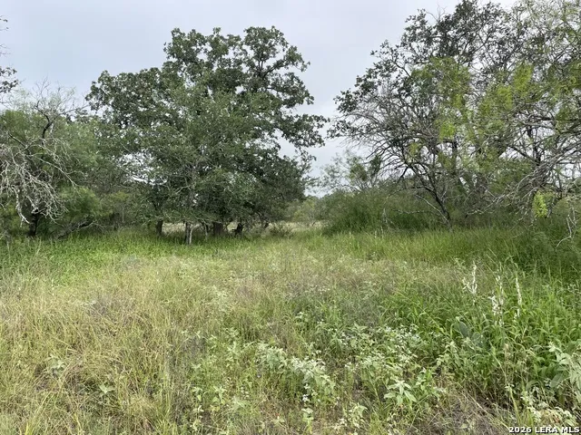 TRACT#8 12.31A County Road 777 Devine, TX 78016